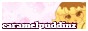 button to my site!